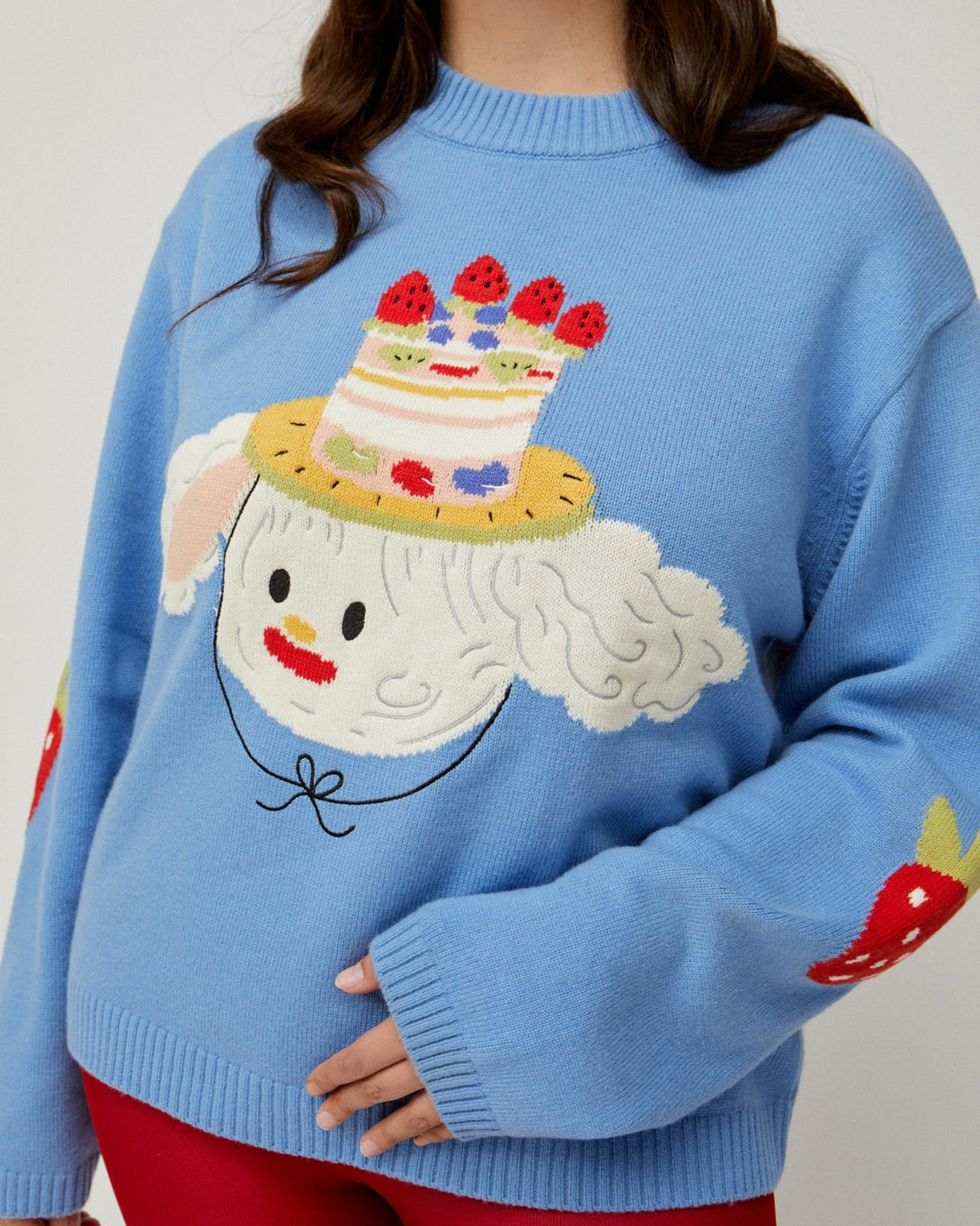 The Black Friday Secret Savings: The Cake Hopper Sweater